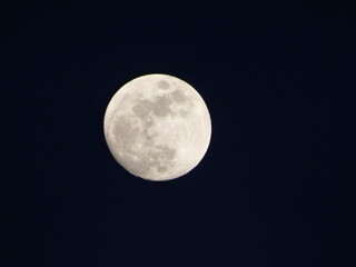 Fototapeta premium Vollmond am Nachthimmel