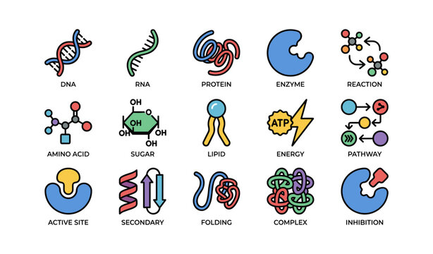 Colorful icons representing dna, rna, proteins, enzymes, and metabolic pathways