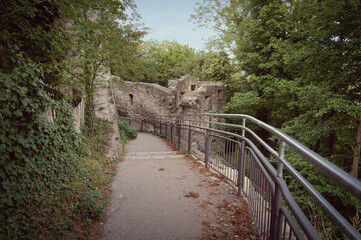 Fototapeta premium Paved hiking path with metal railings leading to the medieval castle ruins of Drachenfels, surrounded by green forest in the Siebengebirge