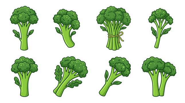 Broccolini Illustration Set with Fresh Green Vegetable Stems and Bundles isolated on White