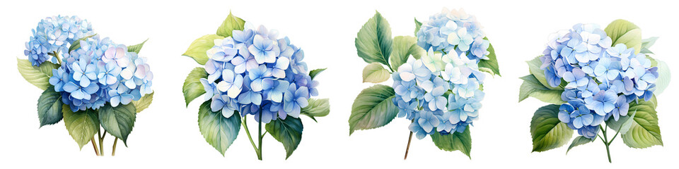 Naklejka premium Four hydrangea flower bouquets in various arrangements isolated on black background