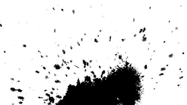 Black Ink Spreading in Water Abstract Fluid Motion