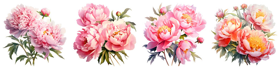 Obraz premium Beautiful arrangement of pink peony flowers isolated on black background, floral decoration