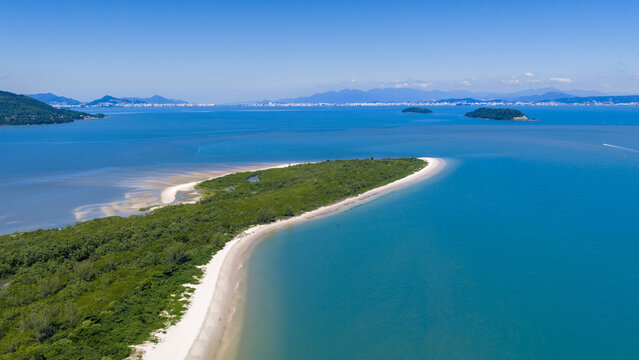 Praia da Daniela's graceful curved shoreline flanked by lush Atlantic Forest in Florianopolis.
