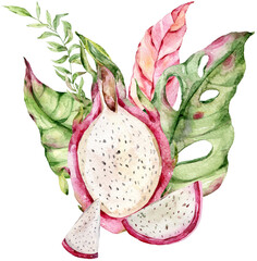Watercolor composition with sliced dragon fruit and tropical monstera leaves on transparent background. Exotic botanical illustration for summer design, wedding stationery and menu decor. © Tiana_Geo
