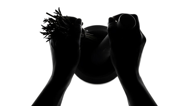 A silhouette of two hands holding a bowl and a bunch of herbs against a white background
