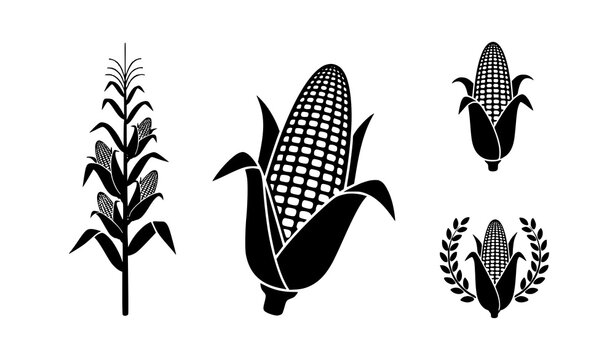 A set of black vector corn icons on a white background
