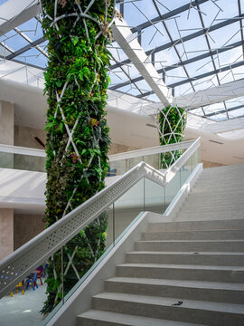 Modern staircase and green vertical plant wall in an atrium