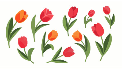 Obraz premium Colorful tulips clip art vector set bright spring flowers collection isolated on white