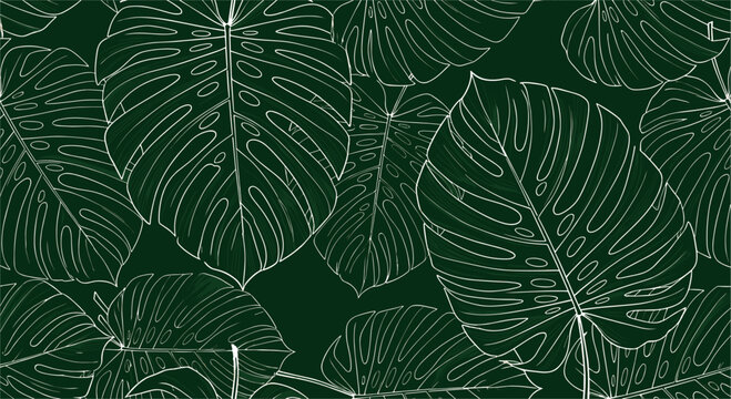 Monstera Leaf Pattern on Dark Background for Tropical and Nature Inspired Design