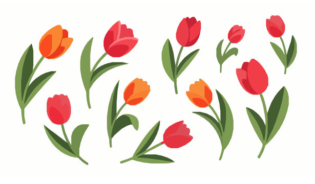 Hand drawn colorful flowers vector set roses sunflowers lilies tulips orchids illustration