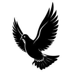 Obraz premium Pigeon Bird Flying