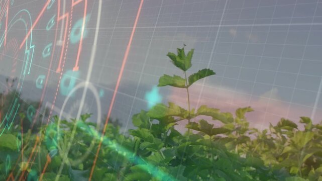 Sapling above canopy, sensor scan starting HUD grid centering and marking growth for agriculture
