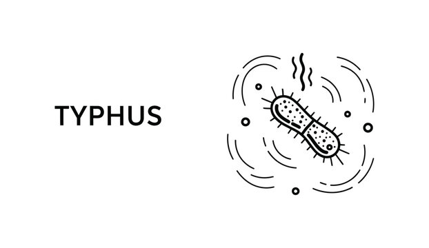 Typhus bacteria icon illustration in minimalist line art style with "Typhus" text.