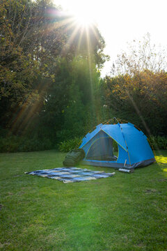 Sunlight streaming upper-left creating sun rays, lighting blue tent, pack, rug on grass, copy space