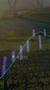 Vertical video: On data update, chart animating trend bars and tooltip over vines to monitor yields