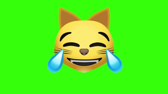 3D Animated Cat Face with Tears of Joy Emoji (Green Screen)