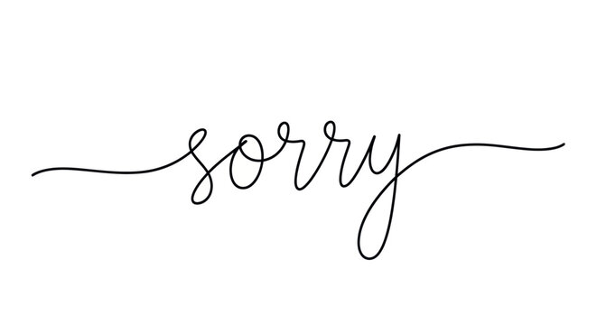 Sorry text, handwritten calligraphy, apology, regret, simple, elegant, white background