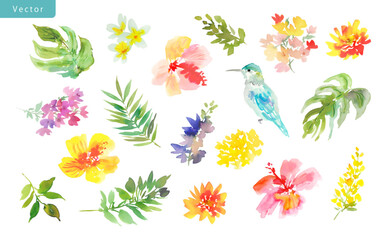 Watercolor tropical floral vector clipart set with abstract hand-painted colorful hibiscus flowers, monstera leaves, plumeria flowers, tropical leaves, and a hummingbird for stationery, surface design © Sawango