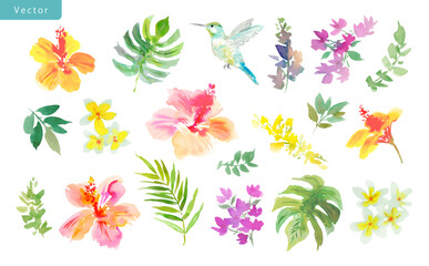 Watercolor tropical floral vector clipart set with abstract hand-painted colorful hibiscus flowers, monstera leaves, plumeria flowers, tropical leaves, and a hummingbird for stationery, surface design © Sawango