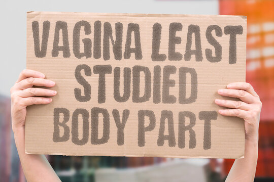 "Vagina Least Studied Body Part" The vagina and vulva rank among the least-researched anatomical structures in peer-reviewed biomedical literature. VAGINA. HEALTH. REAL. BODY. RESEARCH.