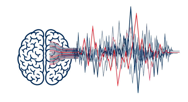 Brain Waves and Neural Network Activity
