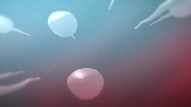  Sperm Swimming in a Woman's Body Traveling Toward Camera