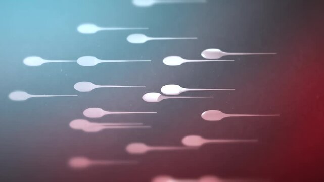 Sperm in a Woman's Body Travelling toward Egg - Above Angle - Vertical