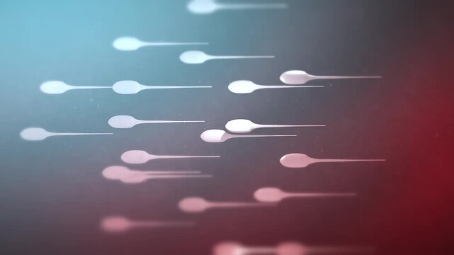  Sperm in a Woman's Body Travelling toward Egg - Above Angle