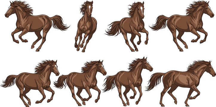 Brown Wild Horse Running and Galloping Pose Collection Set with Detailed Mane and Muscular Body Illustration