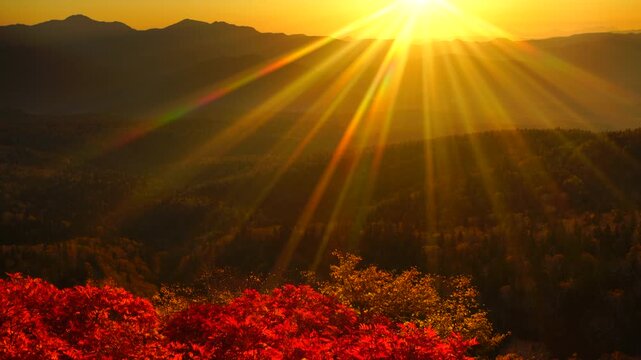 赤岳第一花園から望むナナカマドと武利岳などの山並みと朝日