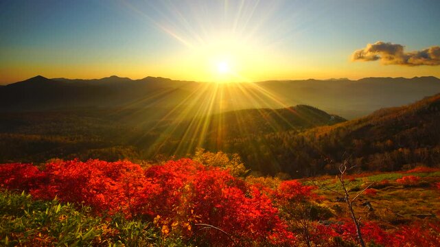 赤岳第一花園から望むナナカマドと武利岳などの山並みと朝日