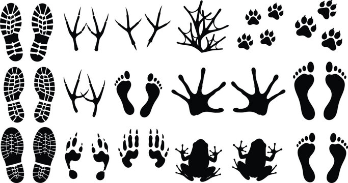 Animal footprints and traces icons for nature and outdoor themes on checkered background.