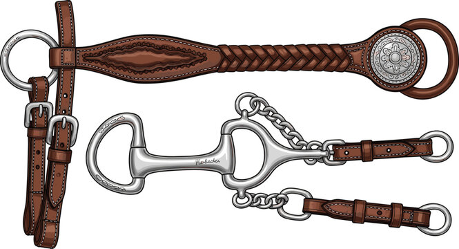 Collection of horse tack including leather bridle and metal bits with buckles.