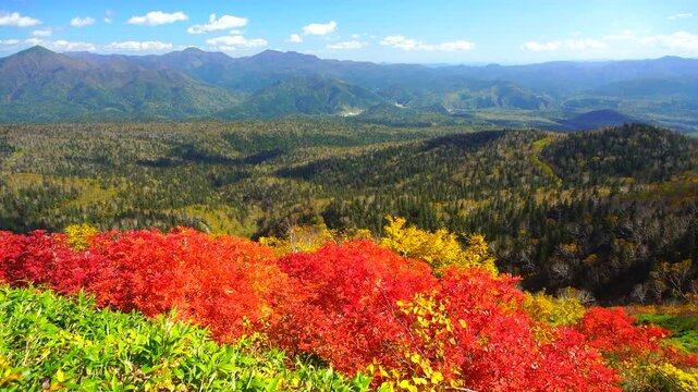 赤岳第一花園から望むナナカマドの紅葉と武利岳などの山並み
