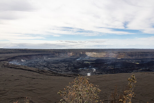 Native Ohi'a lehua bush overlooking the steaming Kilauea caldera in Hawaii Volcanoes National Park Big Island Hawaii