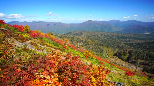 ナナカマドの紅葉と武利岳とニセイカウシュッペ山などの山並み