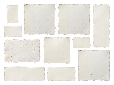 Collection of various torn paper pieces with rough edges and natural texture, isolated on transparent background.
