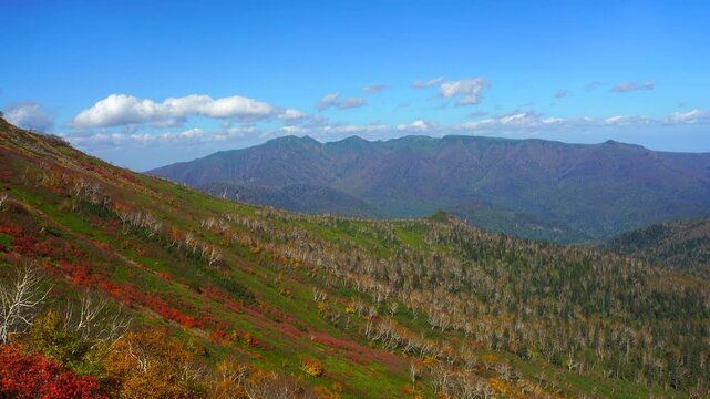 ナナカマドの紅葉とニセイカウシュッペ山などの山並み