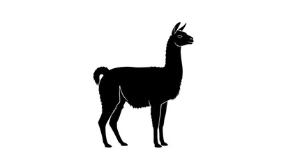 Fototapeta premium Llama silhouette side view vector animal isolated on white background