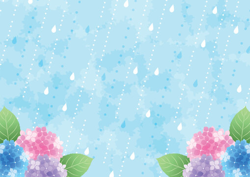 梅雨背景、横、かわいい、あじさい、雨