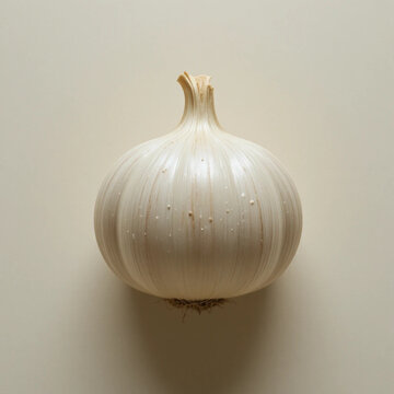 garlic isolated on white background