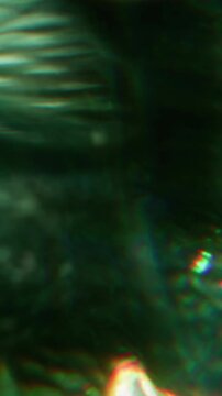 Vertical video. Blur green flare. Light abstraction. Vibrant bright gleam color optical flash on illuminated bokeh art background.