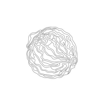 Minimalist Continuous Line Art Dried Aritha Berry for Natural Hair Cleansing Ayurvedic Concept