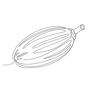 Minimalist Continuous Line Art of Murumuru Palm Fruit for Exotic Beauty Branding Symbolizing Deep Hydration