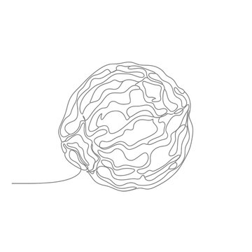 Minimalist Dry Soapnut Continuous Line Art for Eco-Friendly Cleaning and Natural Laundry Concepts