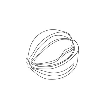 Minimalist Soapnut Pod Continuous Line Art for Zero Waste Laundry and Natural Saponin Cleaners