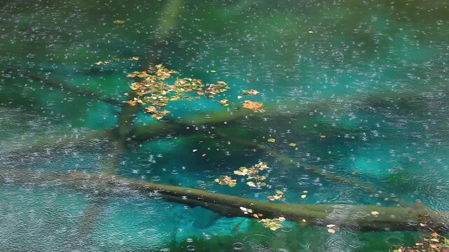 雨の神の子池