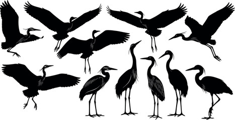 Fototapeta premium Collection of Heron and Crane Bird Silhouettes in Various Flying and Standing Poses for Nature Conservation Logos, Wildlife Illustrations, and Minimalist Zen Wall Art Designs