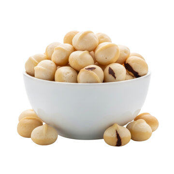 Bowl of macadamia nuts